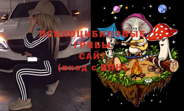 spice Каменногорск