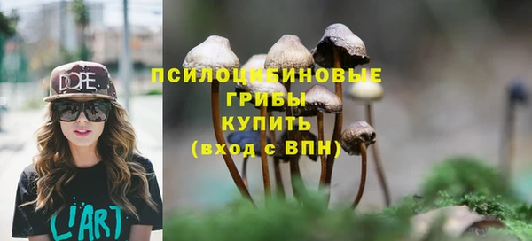 МДПВ Каменск-Шахтинский