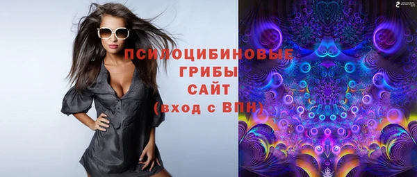 МДПВ Каменск-Шахтинский