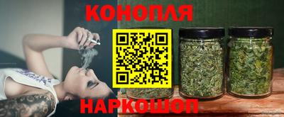 ALPHA PVP Гай