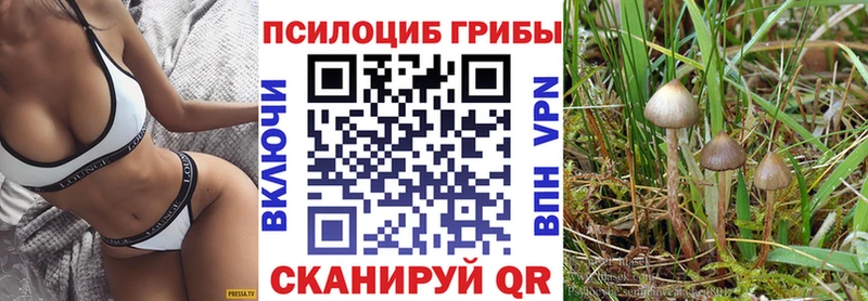 Галлюциногенные грибы Psilocybe  Ноябрьск 